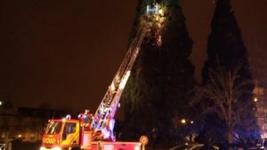 Un homme s'est retranché toute la nuit dans un séquoia devant la mairie pour "faire chier le monde"