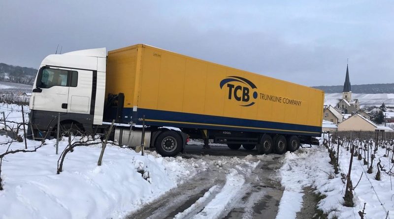 Un routier divague tout nu dans les vignes de Chamery