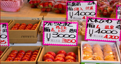 les fruits au Japon