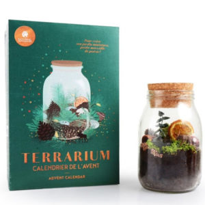 Calendrier de l'avent