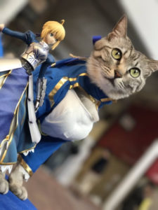 Un chat cosplayé en Saber !