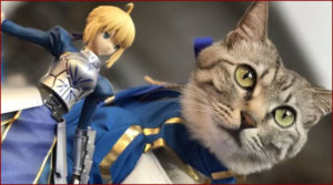 Un chat cosplayé en Saber !