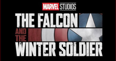The Falcon & the Winter Soldier