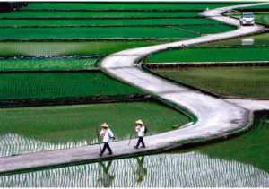 Le pèlerinage de Shikoku