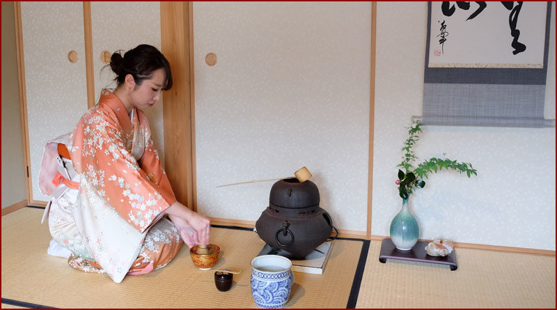 Chanoyu : la Cérémonie du thé japonaise