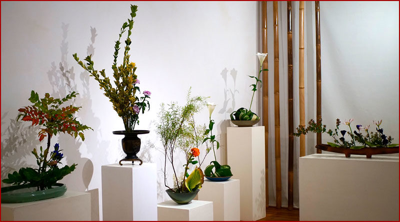 Ikebana : l’Art Floral japonais