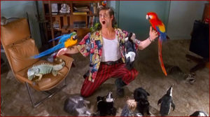 Ace Ventura, détective pour chiens et chats