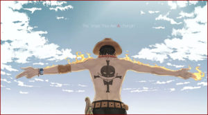 Galerie One Piece