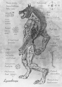 Lycanthrope