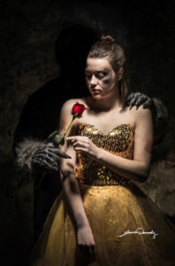 Des photos des princesses de Disney qui illustrent certains problèmes de notre société