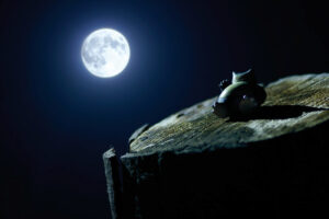 Shoot Them All - Pokemons