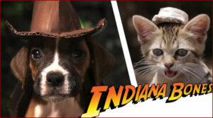 The Adventures of Indiana Bones: Raiders of the Lost Bark