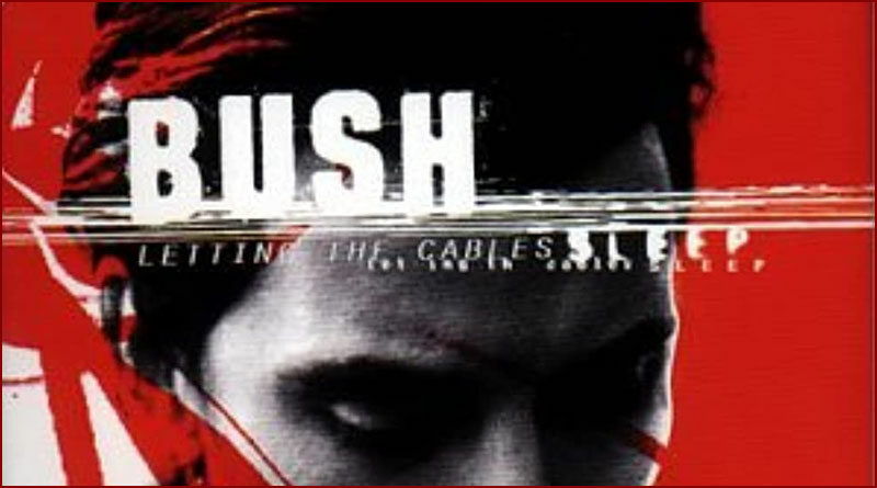 [Bush] Letting the Cables Sleep