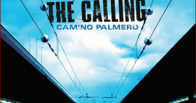 The Calling - Thank You