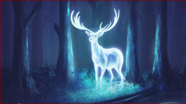 Quel est ton patronus ?