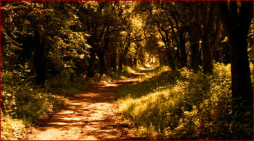 Le Kimodameshi - Le test de courage