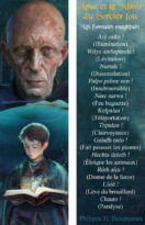 Philippe H. Besancenet - Arha et le Miroir du Sorcier fou