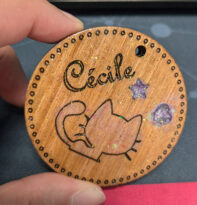 Creality Falcon2 Pro - 40 W