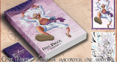 One Piece : l'art de raconter une histoire, le nouveau financement participatif de Maxime Gendron !