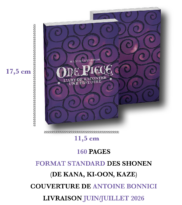 One Piece : l'art de raconter une histoire, le nouveau financement participatif de Maxime Gendron !