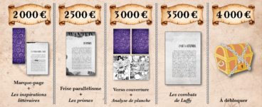 One Piece : l'art de raconter une histoire, le nouveau financement participatif de Maxime Gendron !